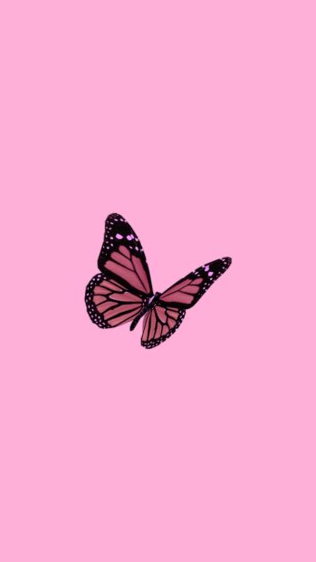 Pink Butterfly Aesthetic Background for Android.
