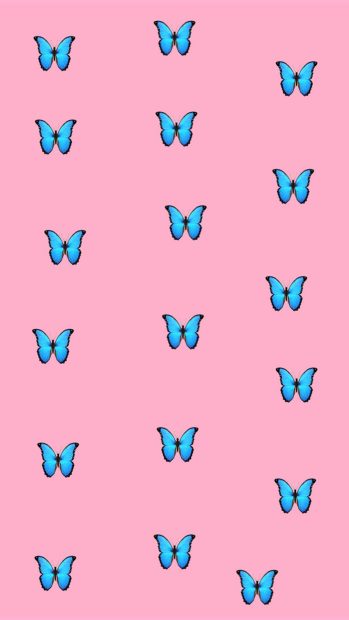 Pink Butterfly Aesthetic Image.