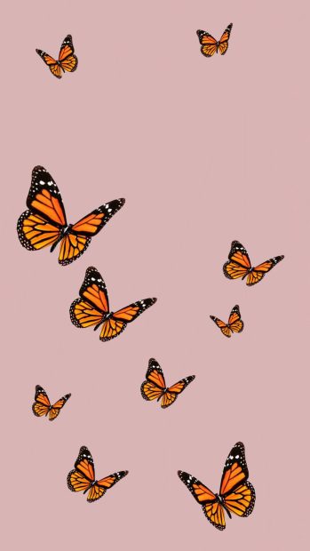 Pink Butterfly Aesthetic Wallpaper Free Download.