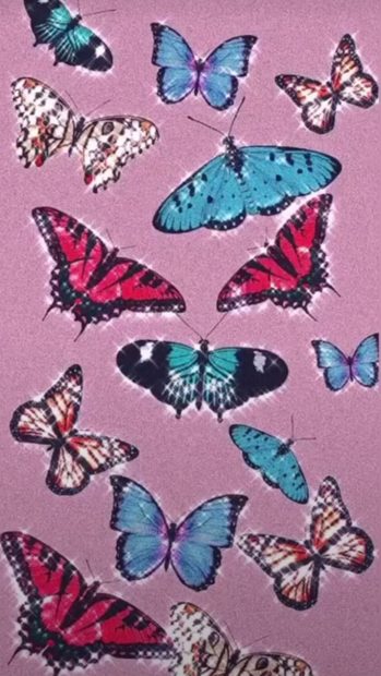 Pink Butterfly Aesthetic Wallpaper HD 1080p.