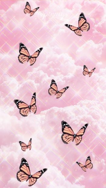 Pink Butterfly Aesthetic Wallpaper HD Free download.