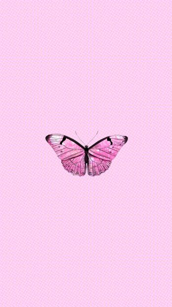 Pink Butterfly Aesthetic Wallpaper for Mobile.
