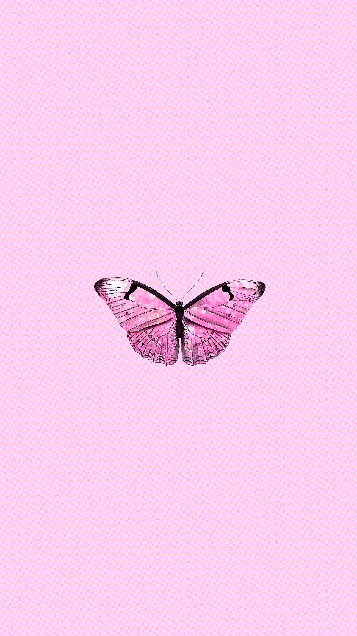Pink butterfly on a holographic background  premium image by rawpixelcom   Techi  Butterfly wallpaper Butterfly wallpaper iphone Purple wallpaper  iphone