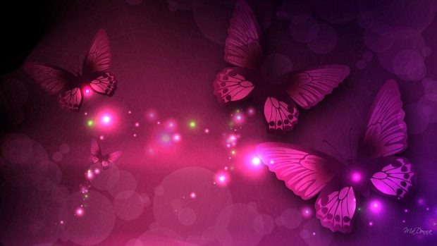 Pink Butterfly Desktop Wallpaper.