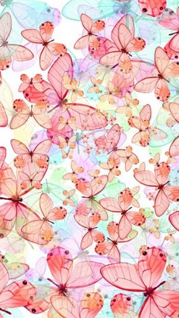 Pink Butterfly Wallpaper HD.