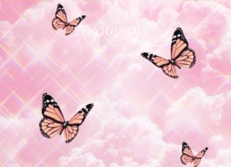 Pink Butterfly Wallpaper HD Free download.