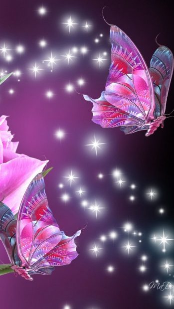 Pink Butterfly Wide Screen Wallpaper HD.