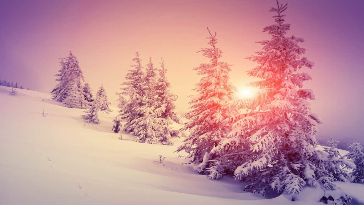 Pink Winter Wallpapers For Desktop - PixelsTalk