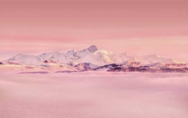 Pink Winter Wallpaper High Resolution.