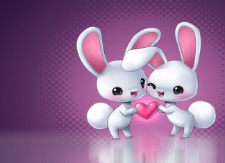 Pinterest Cute Backgrounds Couple Rabit.