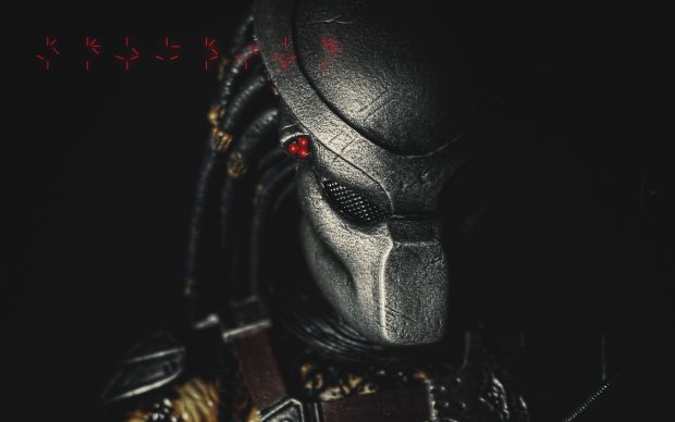 Predator HD Wallpaper Computer.