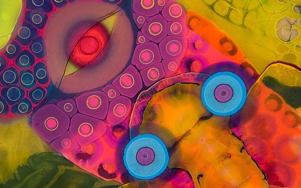 Psychedelic 70s Aesthetic Wallpaper HD Free download.