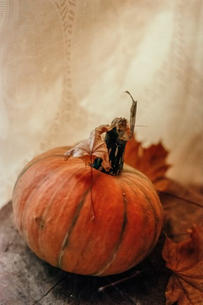 Pumpkin Aesthetic Fall Wallpaper Iphone HD.