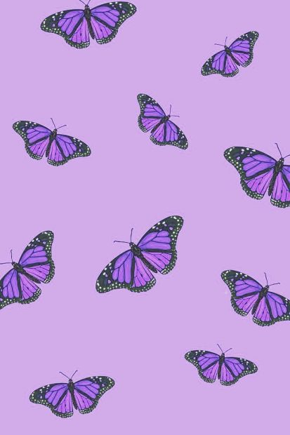 Purple Aesthetic Wallpaper HD Butter Fly.