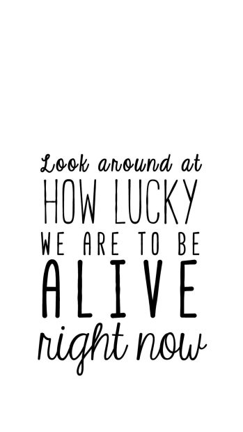 Quotes Hamilton Wallpaper HD.