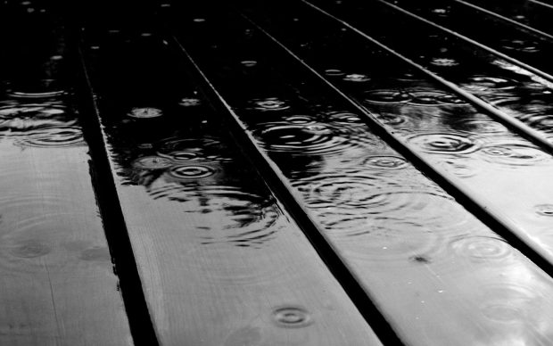 Rain Backgrounds Black And White Aesthetic.