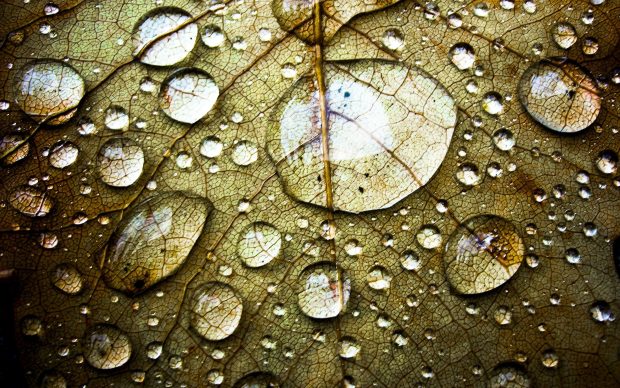 Rain Water Background HD.