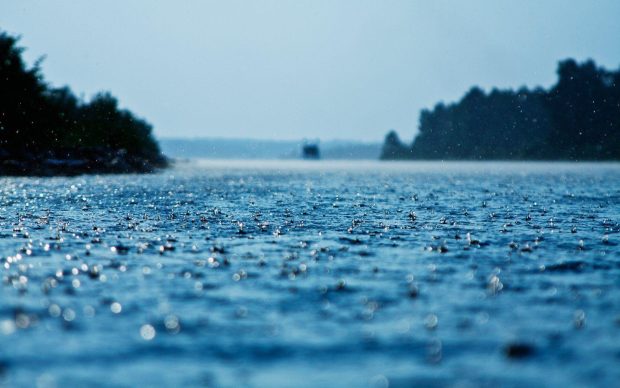 Rain Wide Screen Wallpaper.