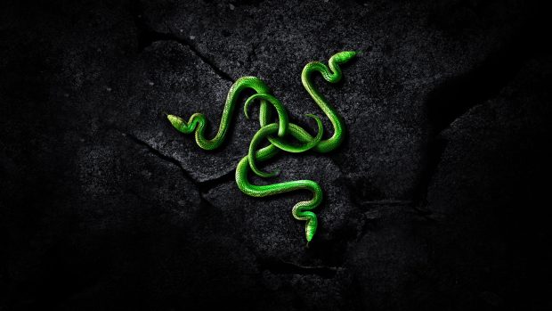 Razer Desktop Wallpaper.