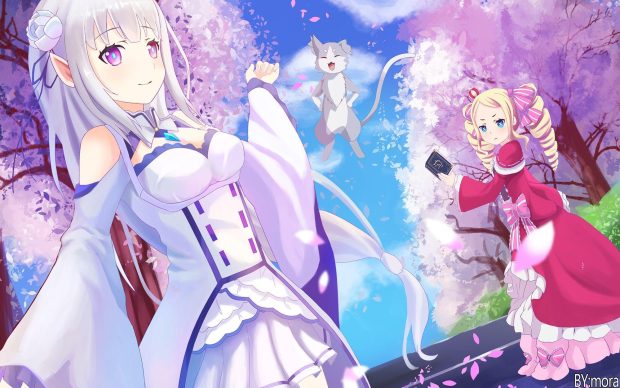 Re Zero Wide Screen Wallpaper HD.