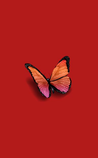 Red Butterfly Wallpaper Aesthetic Wallpaper HD.