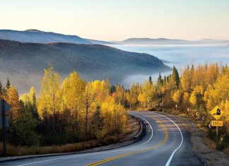 Road Wallpaper HD Free download.