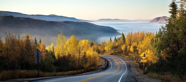 Road Wallpaper HD Free download.