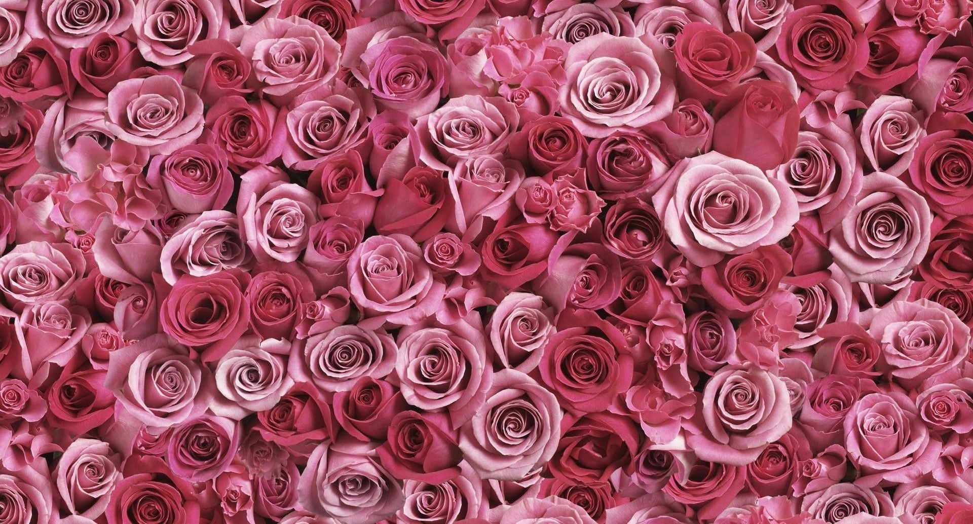 Rose Gold Cute Backgrounds HD 