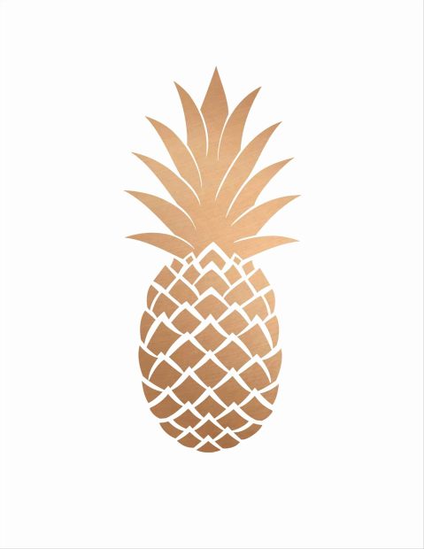 Rose Gold Cute Backgrounds Pineapple.