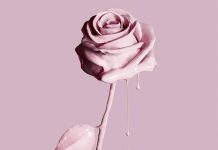 Rose Gold HD Wallpaper Aesthetic Free download.