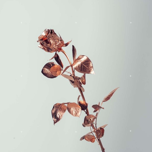 Rose Gold Wallpaper Aesthetic Free Download.