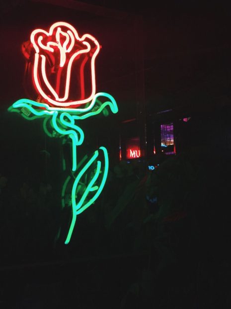 Rose Neon Aesthetic Wallpaper HD.