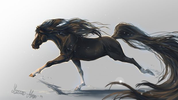 Running Horse Wallpaper HD.