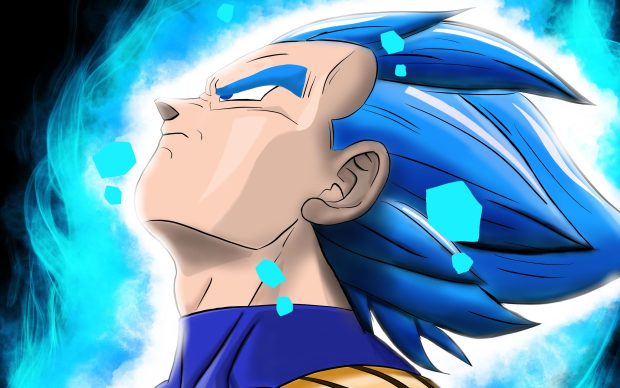 SSJ Blue Vegeta Wallpaper HD.