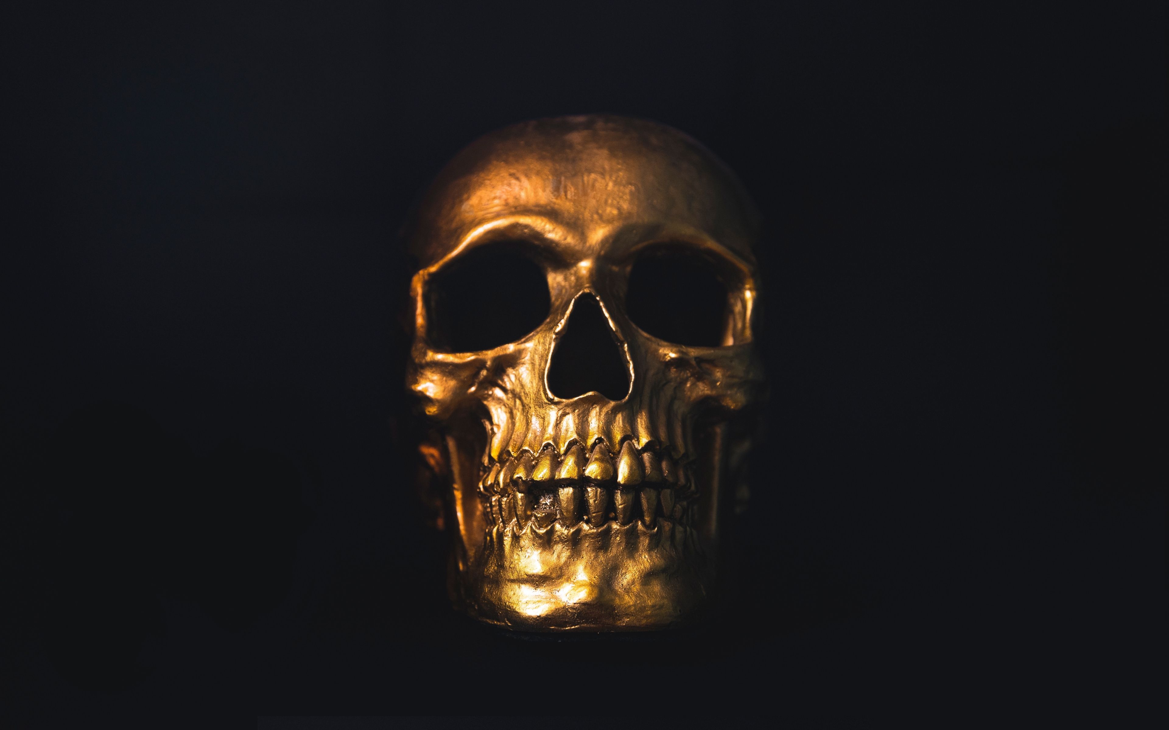 Download Dark Laptop Human Skull Wallpaper  Wallpaperscom