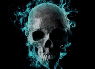 Skull Wallpaper Free Download.