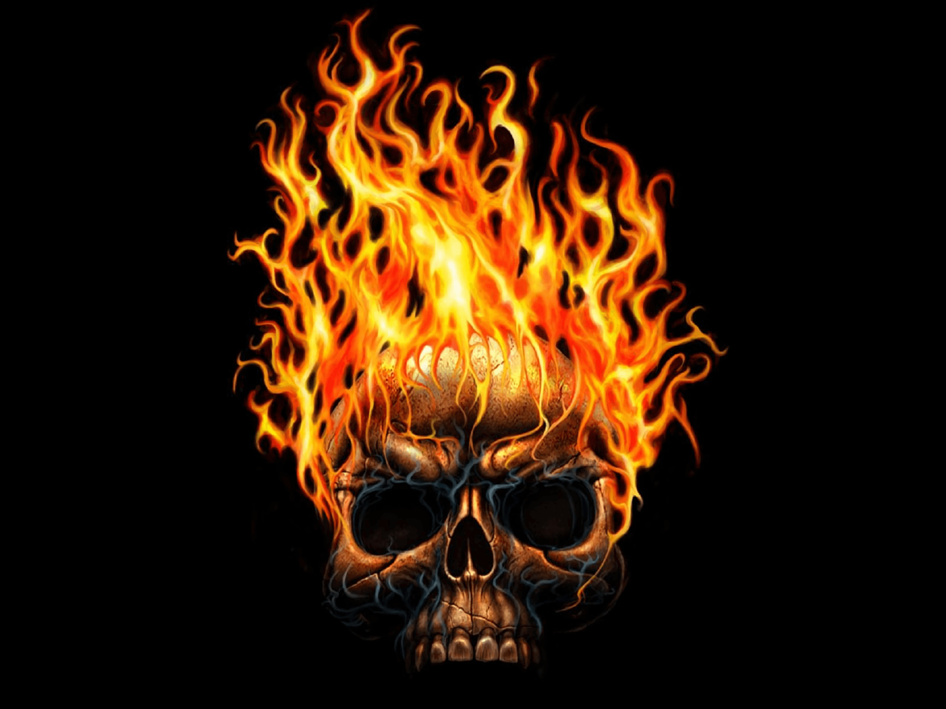 Awesome Skull Backgrounds 50 pictures