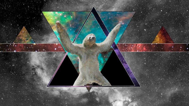 Sloth Wallpapers HD - PixelsTalk
