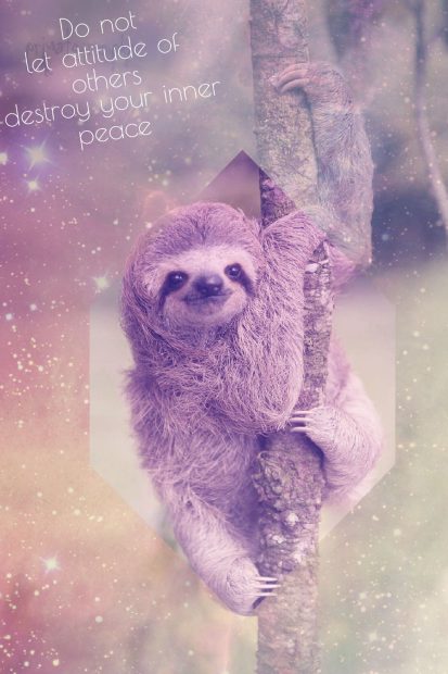 Sloth Phone Wallpaper HD.