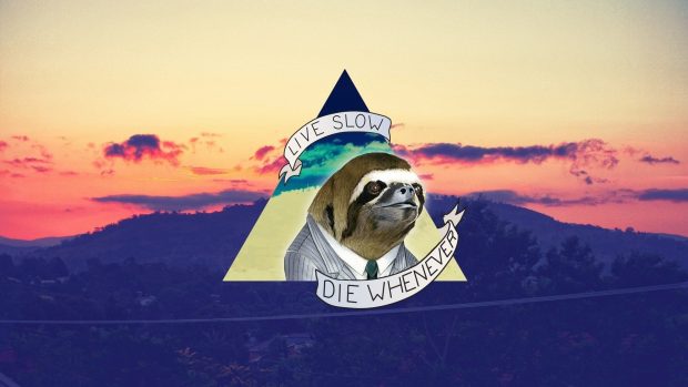 Sloth Wallpaper High Quality.