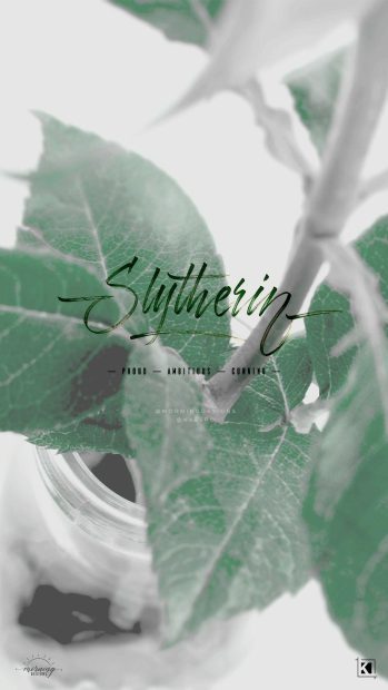 Slytherin Aesthetic Minimalist Wallpaper High Quality.