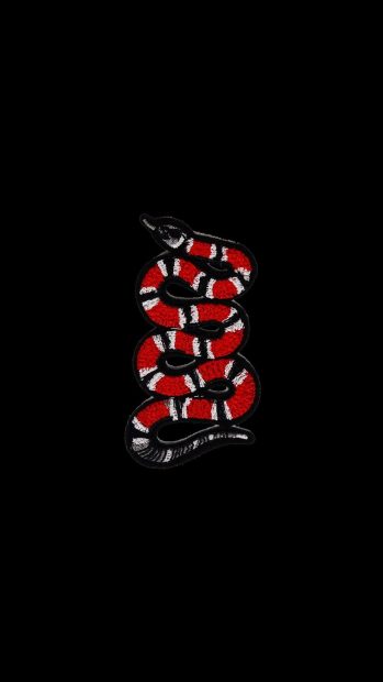 Snake Gucci Hypebeast Wallpaper HD.