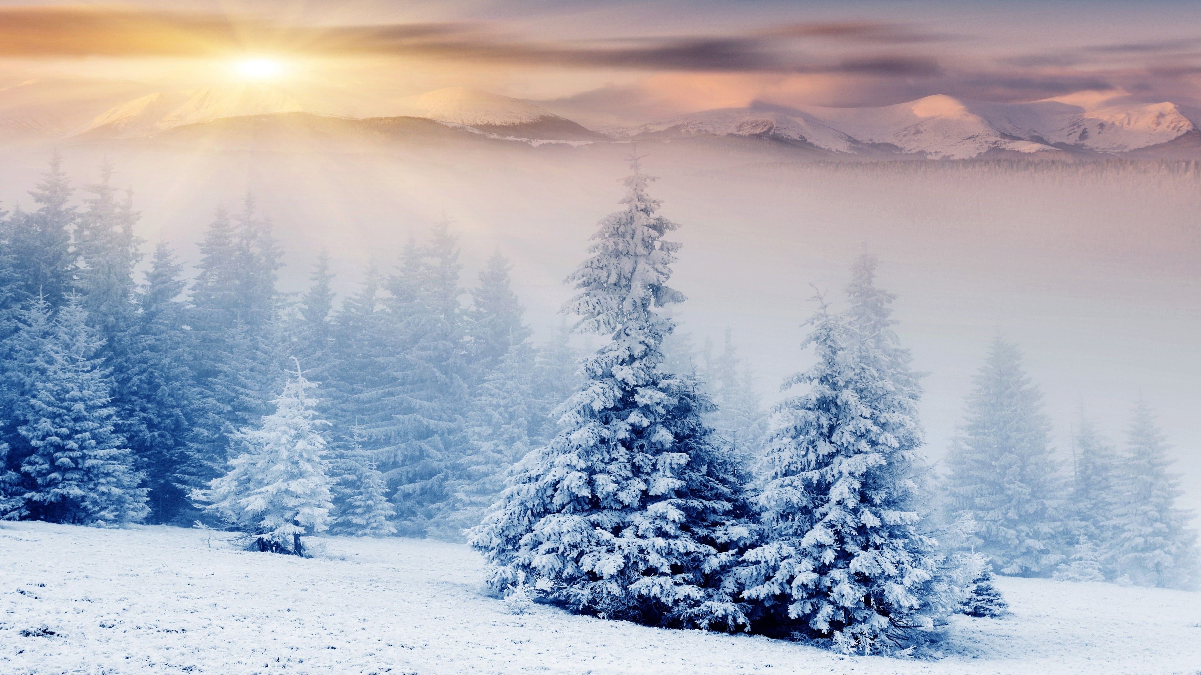 Free download Snow Wallpapers HD 