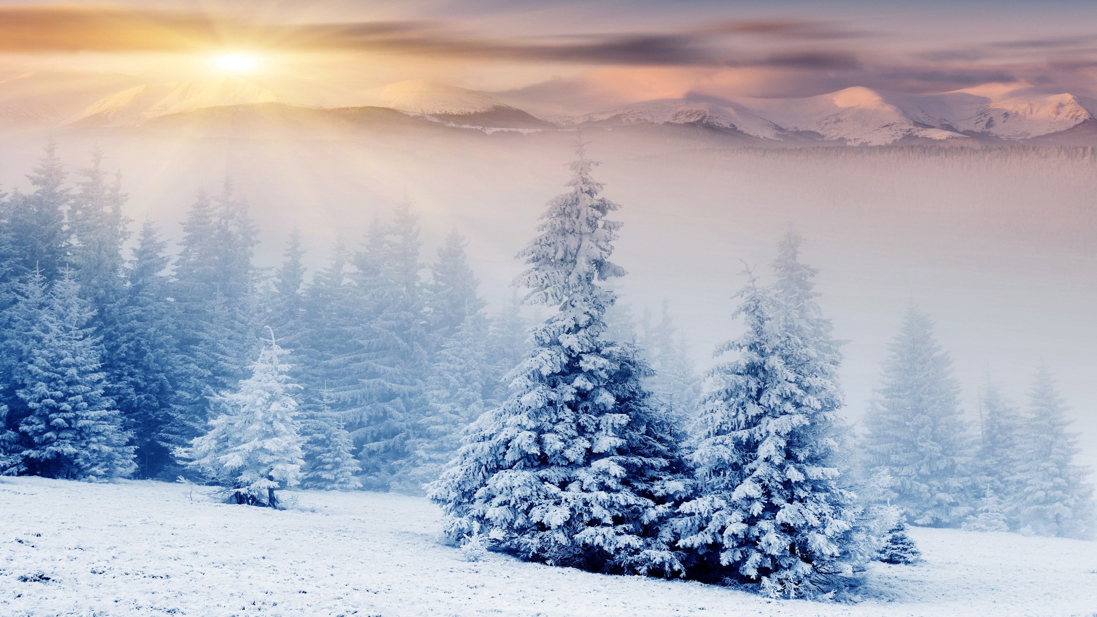 Winter Wallpaper Photos Download The BEST Free Winter Wallpaper Stock  Photos  HD Images