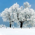 Snow Wallpaper HD Free download.