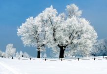 Snow Wallpaper HD Free download.