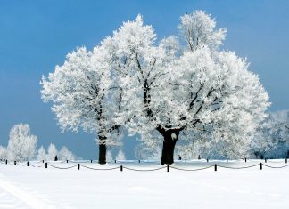 Snow Wallpaper HD Free download.