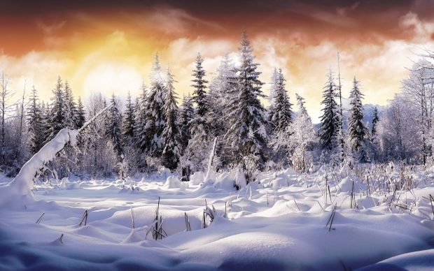 Snow Wide Screen Background HD.