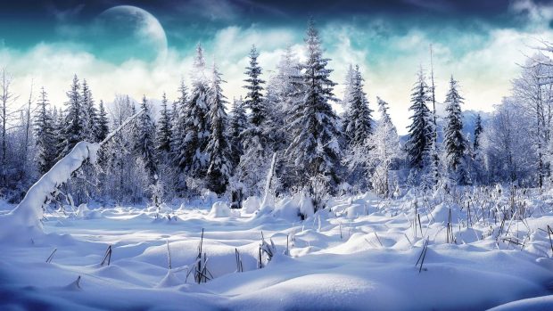 Snow Wide Screen Wallpaper.