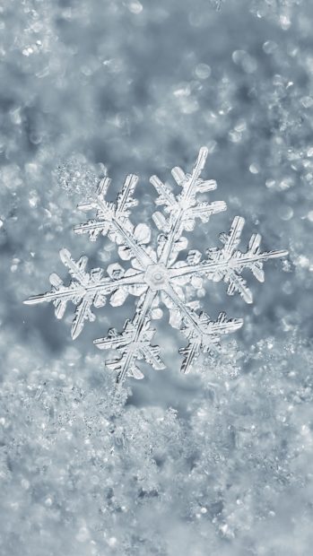 SnowFlake Background HD.